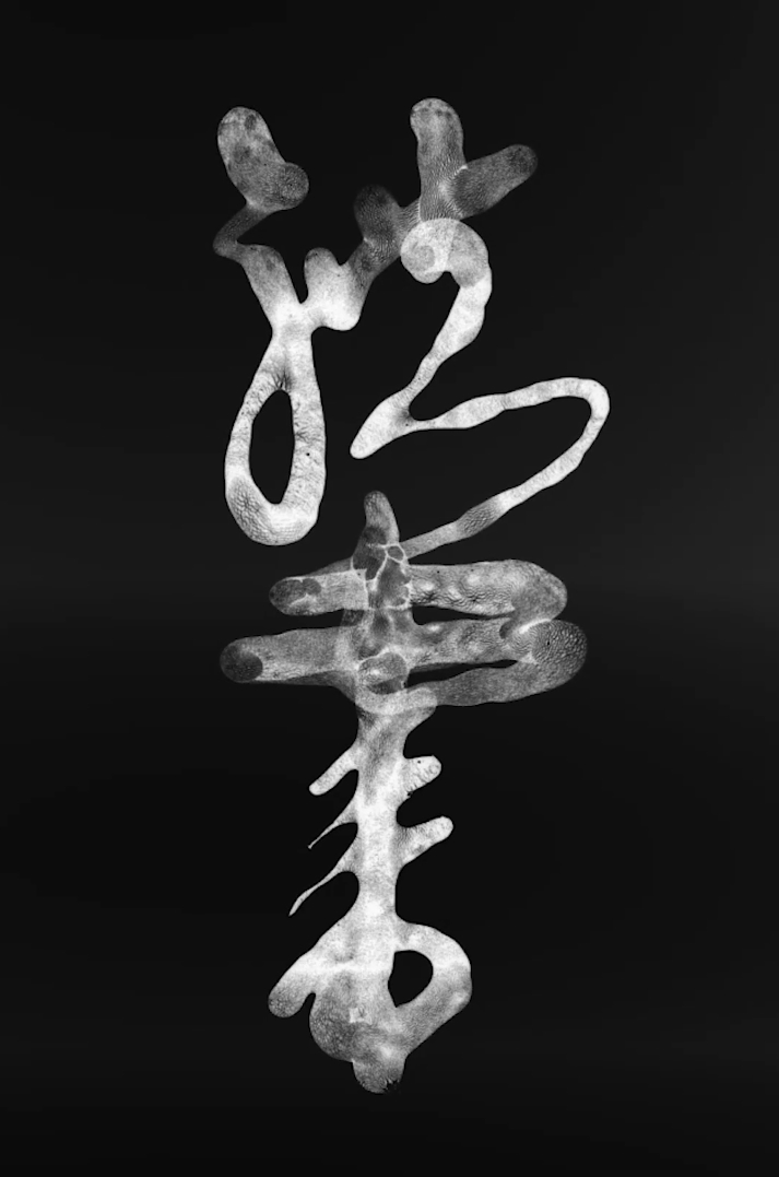 Body Script